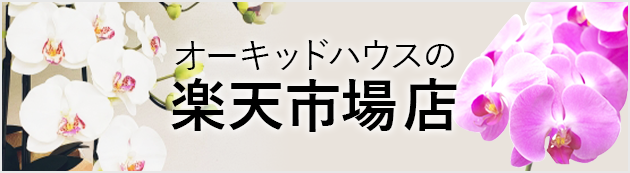 オーキッドハウス楽天市場店